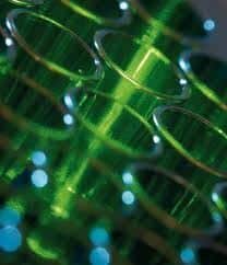 AMPHORA BAC DNA MiniPrep