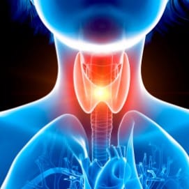 thyroid function test