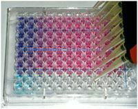RealLine DNA -Extraction 1, CE -IVD